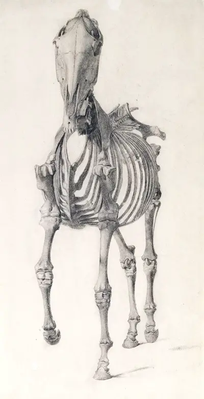 Finished Study for The Second Anatomical Table of the Skeleton of the Horse George Stubbs